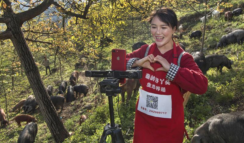 Una joven promueve su producción de cerdos de corral a través de una plataforma de transmisión de vídeo en vivo vía Internet en Luonan, provincia de Shaanxi, 27 de abril del 2020. [Foto: Xinhua]