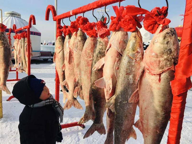 Un niño observa los pescados congelados durante la ceremonia de apertura del 19 Festival de Turismo Cultural de Pesca y Caza del Lago Chagan, inaugurado este lunes en Songyuan, provincia de Jilin. [Foto: Han Junhong/ China Daily]