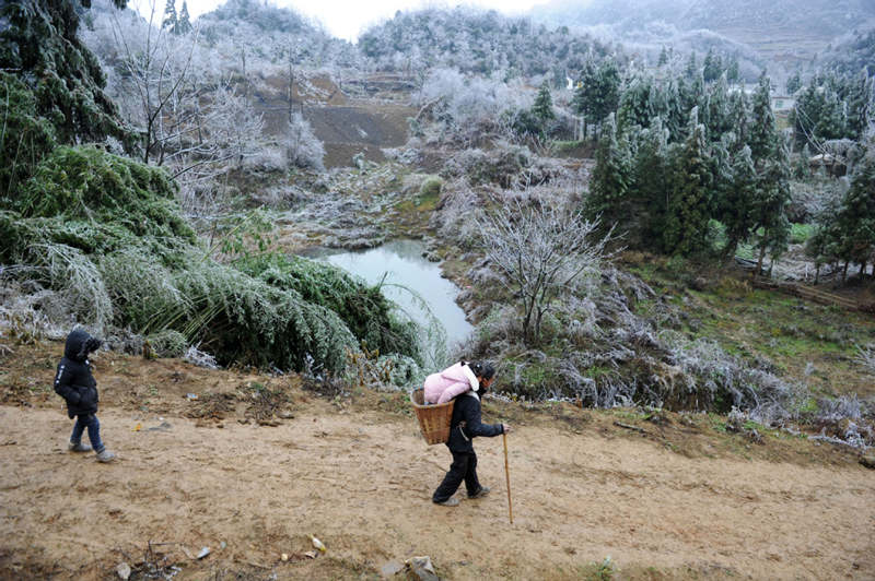 Li Changde carga a Li Qingyi a sus espaldas mientras Li Siyu le sigue por el camino hacia la escuela en una fría mañana de invierno, aldea Hetou, Dafang, Guizhou, 13 de diciembre del 2018.