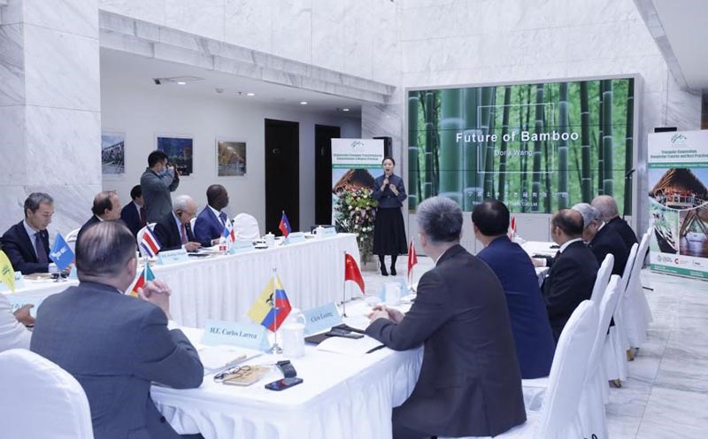 El 18 de marzo, en el Diálogo entre Embajadores de los países de América Latina y el Caribe en China, Wang Xingyi, subdirector general de Ningbo Shilin Arts & Crafts Co., Ltd. pronunció un discurso titulado "El futuro del bambú". Fuente: sitio web oficial chino de la Organización Internacional del Bambú y el Ratán.