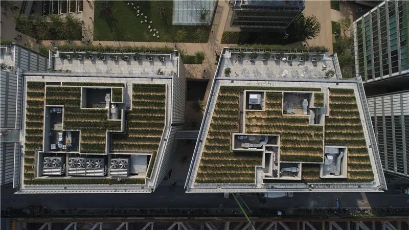 Arbustos de té crecen encima de 16 edificios de amplios ventanales vidriados en un complejo residencial de Hangzhou, provincia de Zhejiang. [Foto: proporcionada a chinadaily.com.cn]