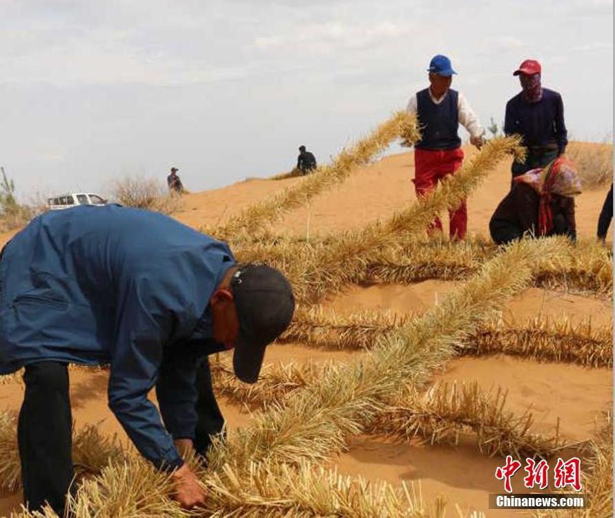 Nueva tecnología china para mejorar el control de la desertificación