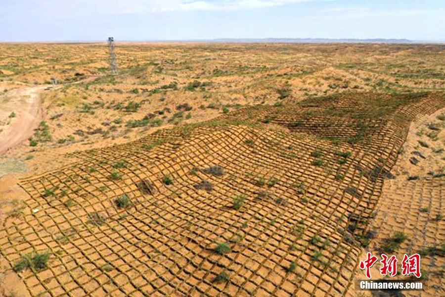 Nueva tecnología china para mejorar el control de la desertificación
