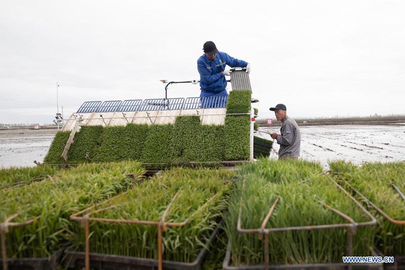 Sistema de Navegación por Satélite ayuda a desarrollar la agricultura inteligente en China