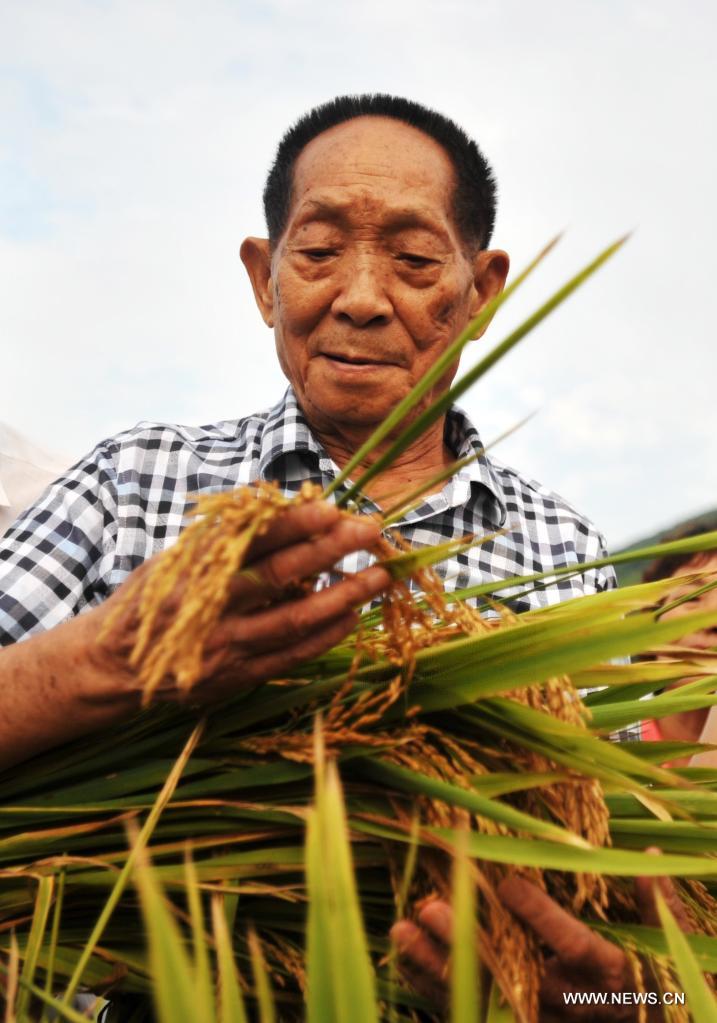 Fallece a los 91 años científico chino Yuan Longping, "padre del arroz híbrido"