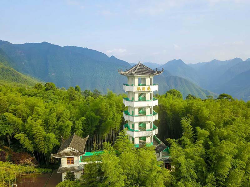 Bamboo Sea National Forest Park cuenta con lagos verdes, cascadas, bosques, arroyos, formación de tierras Danxia y cientos de millones de plantas de bambú. [Foto: Wang Zhongshu/ chinadaily.com.cn]