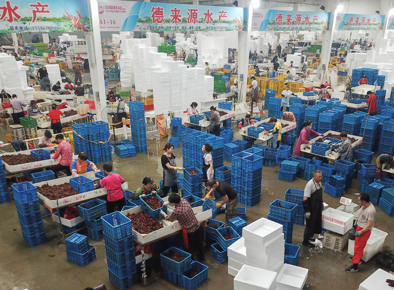 Los empleados seleccionan cangrejos de río en Hubei Zhongxia Agriculture Technology Co Ltd en la provincia de Hubei, el 9 de junio de 2021. [Foto / Xinhua]