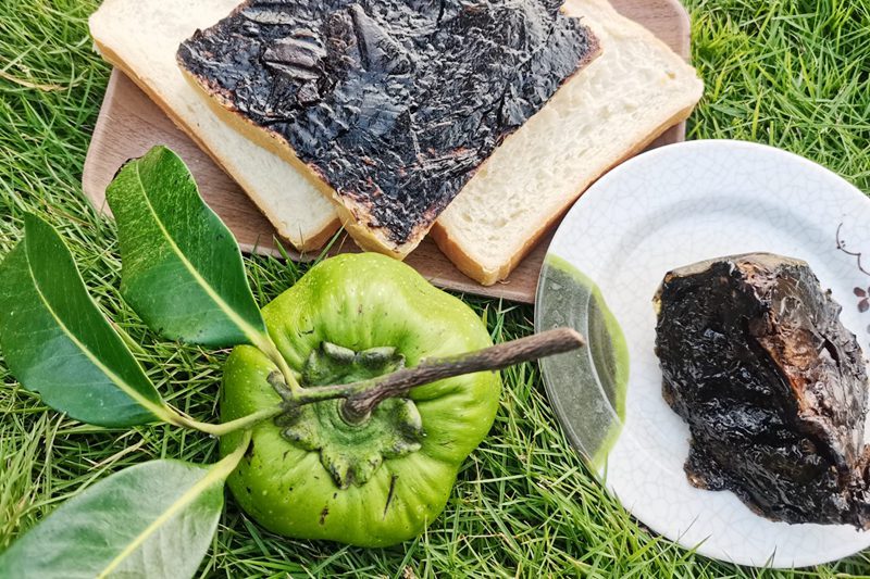 La foto muestra zapotes negros recolectados en la base de plantación de árboles de frutas tropicales en Qionghai, provincia de Hainan, en el sur de China. (Foto cortesía de la base de plantación de árboles frutales tropicales)