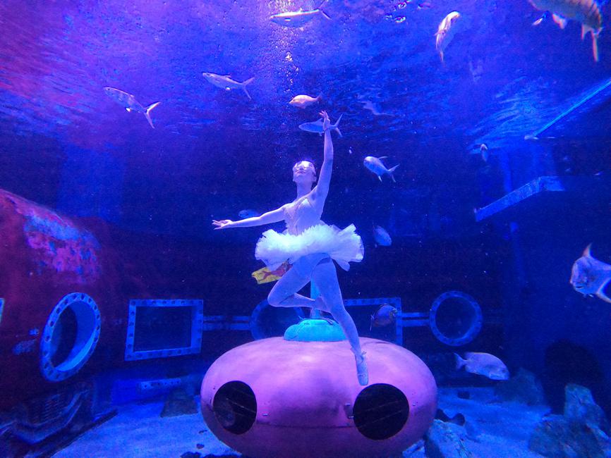 Una bailarina hace ballet submarino en el parque polar de Harbin, provincia de Heilongjiang. [Foto proporcionada a chinadaily.com.cn]