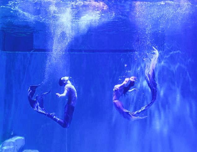 Los bailarines vestidos como una princesa sirena y su príncipe hacen ballet submarino en el parque polar de Harbin, provincia de Heilongjiang. [Foto proporcionada a chinadaily.com.cn]