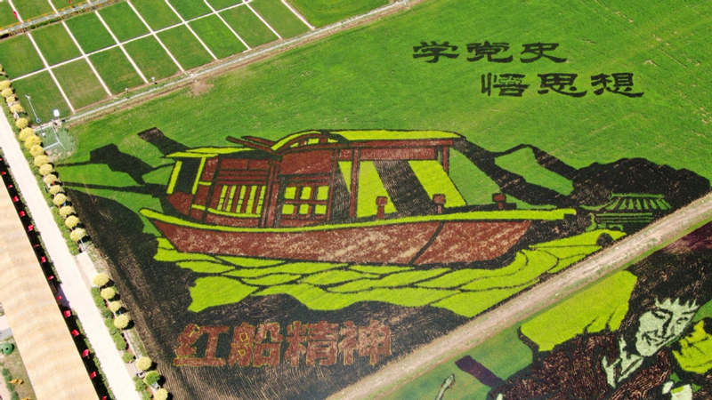 Vista aérea de los arrozales de Helan, región autónoma de Ningxia Hui. [Foto: Hai Kun/China Daily]