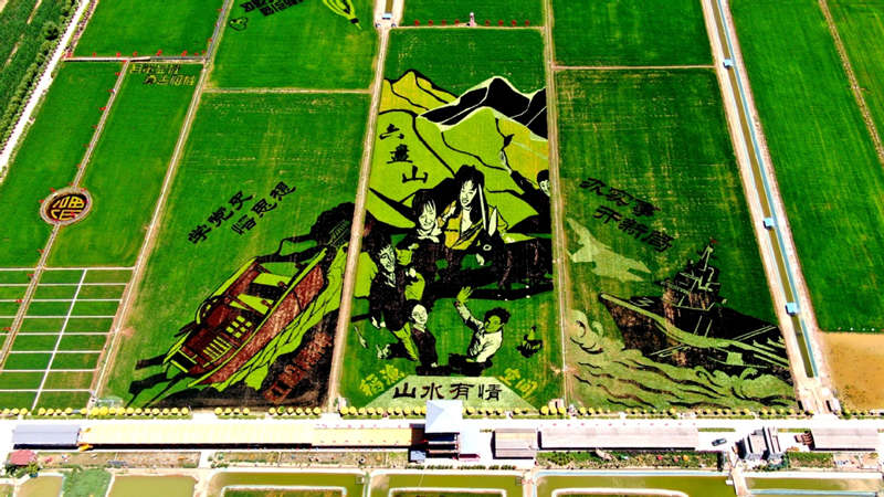 Vista aérea de los arrozales de Helan, Región Autónoma de Ningxia Hui. [Foto: Hai Kun/China Daily]