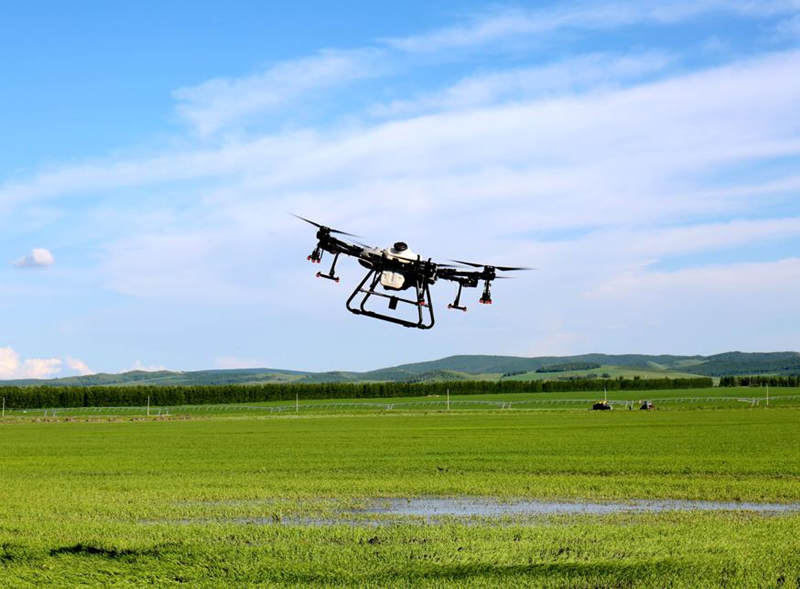Drones de última generación se utilizan para rociar pesticidas y aplicar fertilizantes en los cultivos de Hulunbuir, región autónoma de Mongolia Interior. Para los agricultores, éste es un momento clave para el control de insectos.