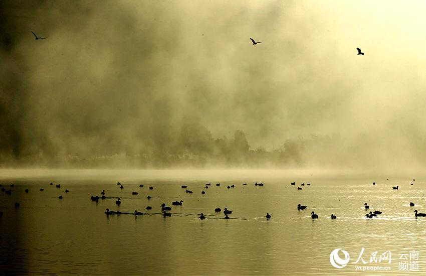 67 tipos de aves acuáticas te ofrecen la bienvenida en Tengchong