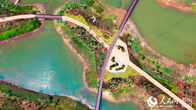 Humedal del río Maiya en el nuevo distrito Jiangdong de Haikou, provincia de Hainan. (Foto: Pueblo en Línea/ Niu Liangyu)