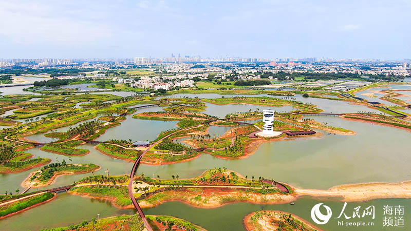 Pequeñas islas dispersas alrededor del humedal del río Maiya en el nuevo distrito Jiangdong de Haikou, provincia de Hainan. (Foto: Pueblo en Línea/ Niu Liangyu)