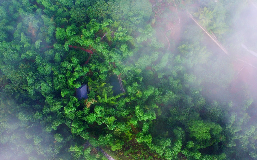 Parque de la industria del bambú en el distrito Fuling de Chongqing. (Foto: Huang He)