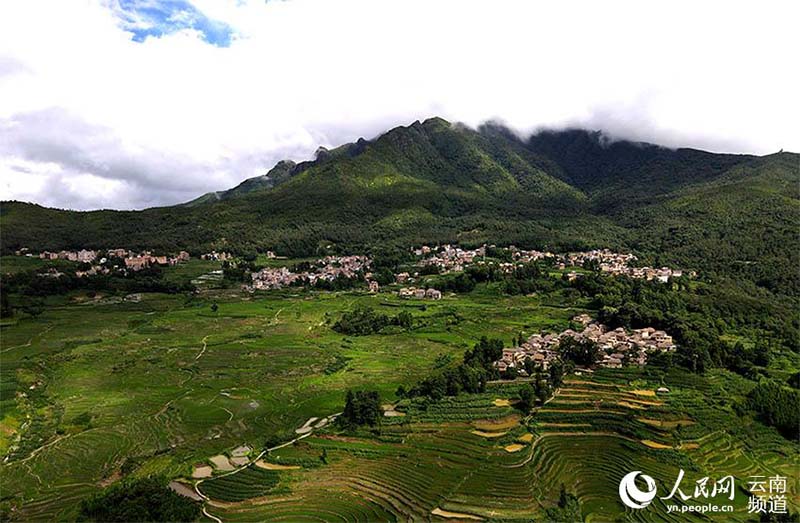 La foto muestra los campos en terrazas Hani en la montaña Wuzhishan, el condado Yuanyang de la prefectura autónoma Yi y Hani de Honghe, en la provincia de Yunnan, en el suroeste de China. (Foto / Luo Jianguo)