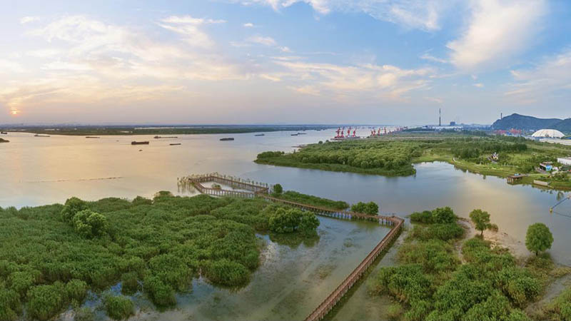 Una vista aérea del parque ecológico Xuejiawa en la orilla oriental del río Yangtze en Ma'anshan, provincia de Anhui, el 29 de junio de 2021. [Foto de Zhang Mingwei / para chinadaily.com.cn]