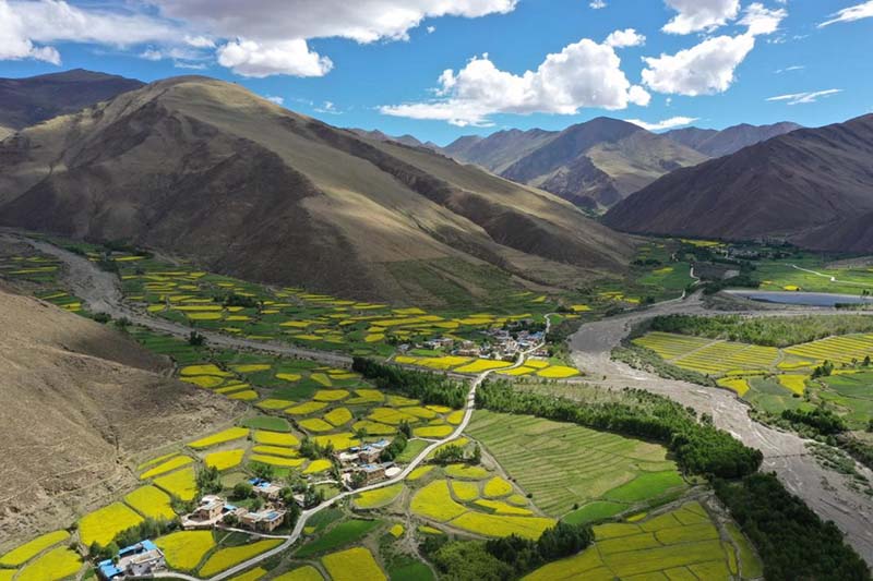El 18 de junio de 2021, la foto muestra la aldea de Qangkyim en el condado Lhayu del condado Qonggyai en la ciudad de Lhoka, en la región autónoma del Tíbet, suroeste de China. (Wang Hu / Pueblo en Línea)