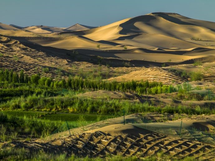 El desierto reforestado de Kubuqi. (Foto cortesía del sitio de noticias GMW.CN)