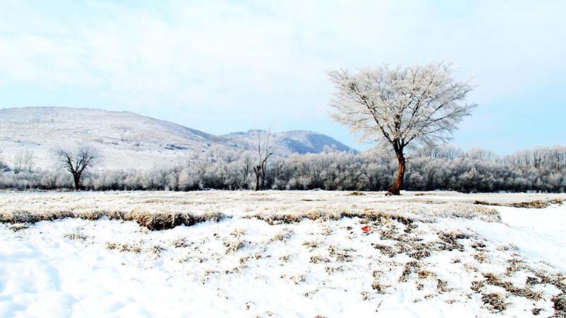 El valle del río Ergune registra su primera escarcha de esta temporada