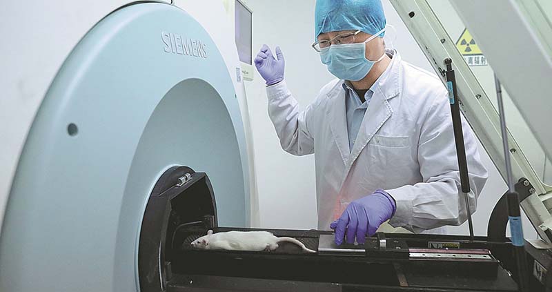 El investigador Gao Kai se prepara para realizar una tomografía computarizada a una rata el 30 de agosto. [ZHU XINGXIN / CHINA DAILY]