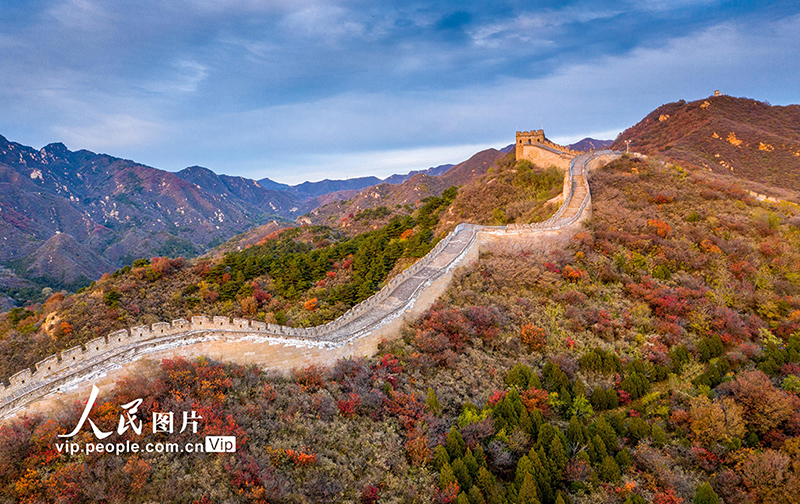 Beijing: las montañas de la Gran Muralla de Badaling se vuelven rojas