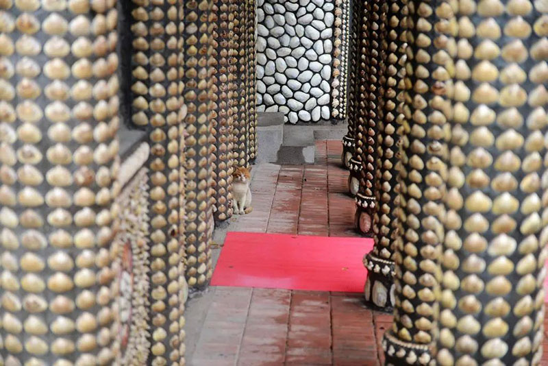 Decoraciones de conchas en la pared. (Foto / thepaper.cn)