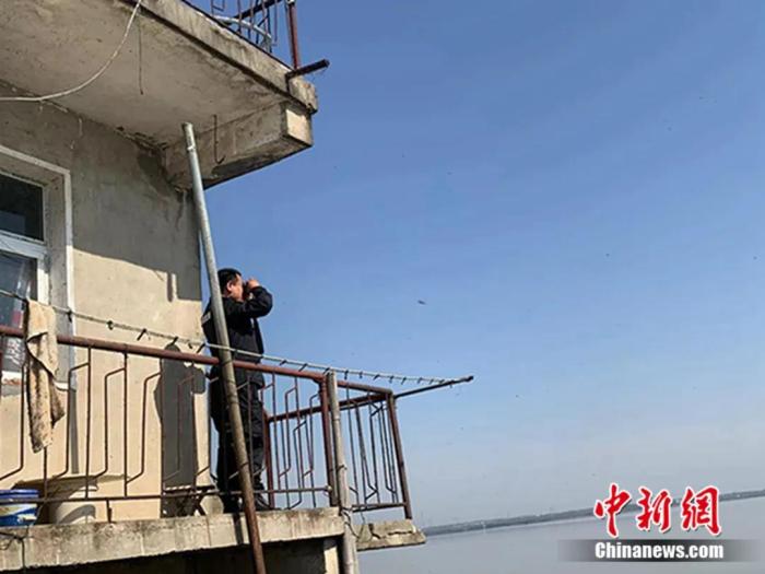 Wang Ruixue usa binoculares para explorar el lago Wuhu en Wuhan, provincia de Hubei, en el centro de China. (Foto / Wu Yili)
