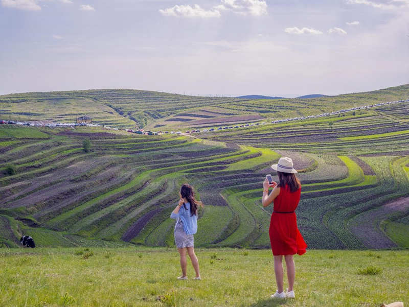 El 27 de junio de 2021, el pintoresco paisaje de la pradera de Chongli en la provincia de Hebei atrajo a los turistas. Xiao Xueping / Pueblo en Línea