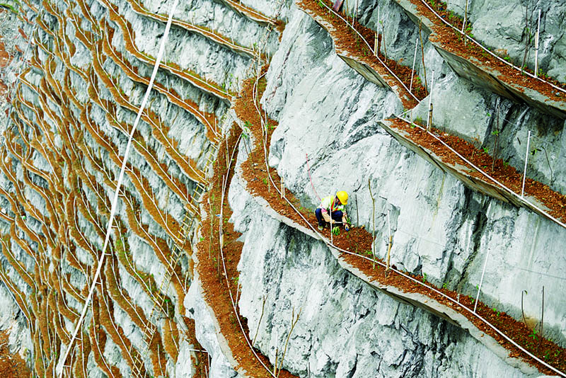 La foto muestra a un trabajador plantando árboles jóvenes en una plataforma estrecha construida a lo largo del acantilado de una montaña en Liuzhou, en la región autónoma Zhuang de Guangxi, en el sur de China, en marzo de 2021. (Foto / Li Hanchi)