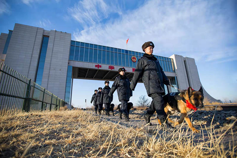 Adiós a 9 perros policía retirados en Mongolia Interior