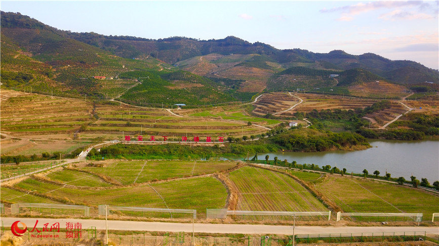 Vista aérea de la Base Nacional para el Mejoramiento de Semillas, ubicada en la ciudad de Sanya, en la provincia de Hainan. (Foto: Pueblo en Línea/ Niu Liangyu)