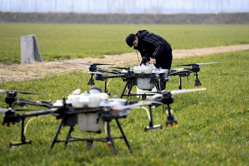 Trabajador agrega herbicida a los drones en una novedosa granja automatizada e inteligente en la ciudad de Zhaoqiao de la ciudad de Bozhou, provincia de Anhui, 11 de febrero del 2022. [Foto: Xinhua]