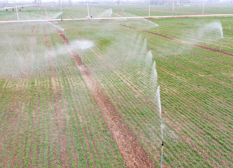 Sistema automático de riego y fertilización que opera en una novedosa granja automatizada e inteligente de Zhaoqiao, Bozhou, provincia de Anhui, 11 de febrero del 2022. [Foto: Xinhua]
