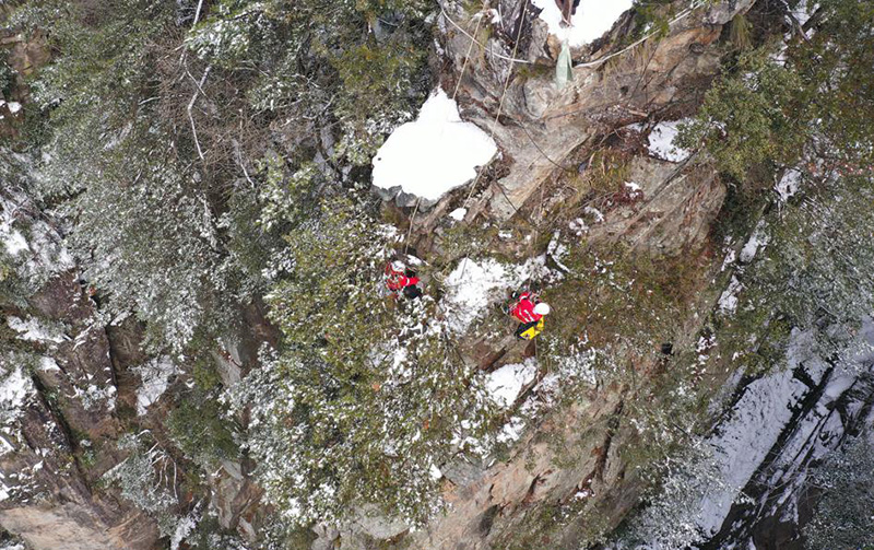 Durante una sesión de entrenamiento, miembros del equipo de rescate de emergencia se ofrecieron como voluntarios para el saneamiento de rocas y acantilados del área turística Wulingyuan de Zhangjiajie, provincia de Hunan, febrero del 2022. [Foto: Wu Yongbing/ China Daily]