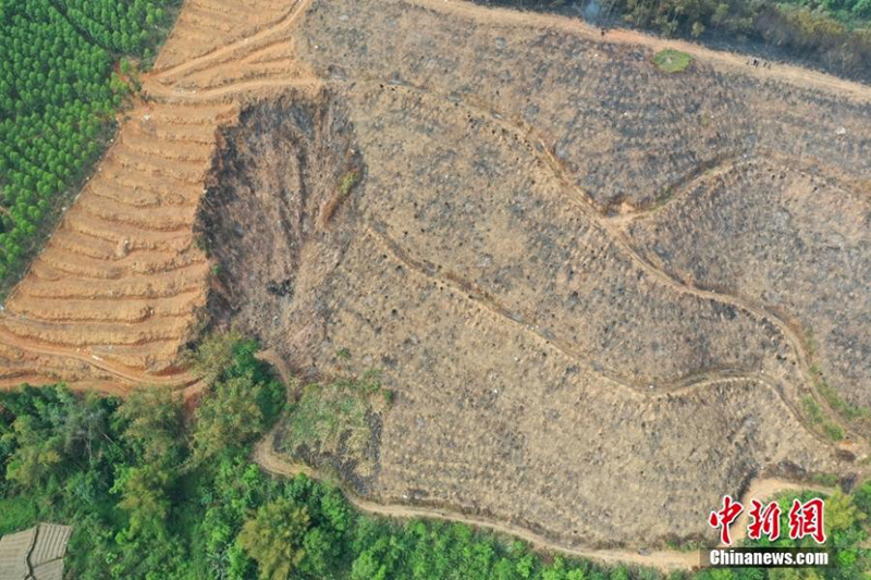 Vista aérea del lugar del accidente del Boeing 737 de China Eastern en Guangxi