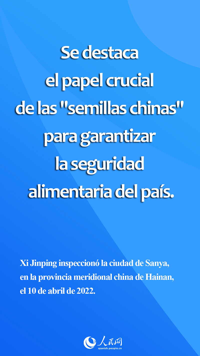 Xi subraya importancia de "semillas chinas" para garantizar seguridad alimentaria