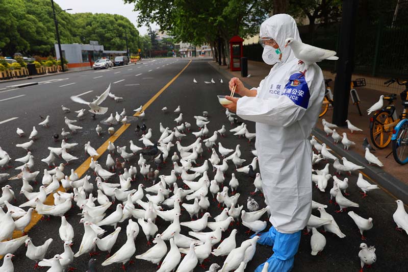 Un oficial de policía alimenta palomas cerca de la Plaza del Pueblo del distrito Huangpu de Shanghai, 11 de mayo del 2022. [Foto: Zhu Xingxin/ China Daily]
