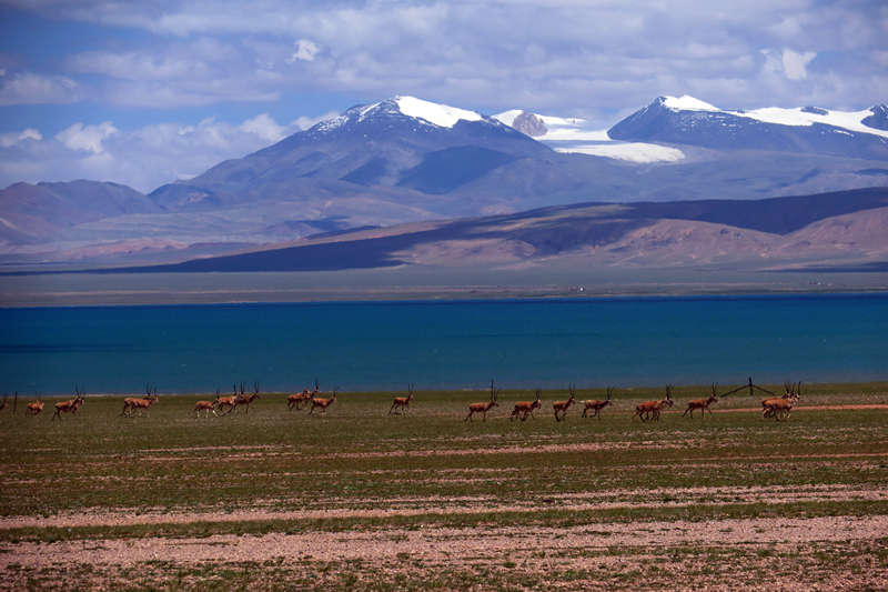 Vista de la meseta Qinghai-Tíbet. [Foto: IC]