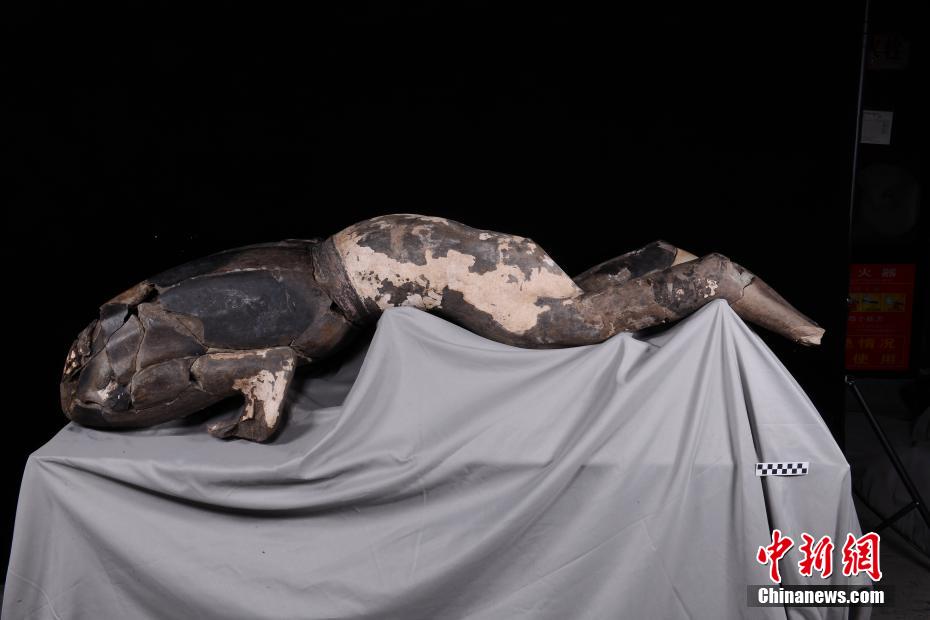 Un "guerrero de terracota” acostado, ya restaurado, se presenta en el Museo del Sitio del Mausoleo del Emperador Qinshihuang en Xi'an, provincia de Shaanxi, 11 de junio del 2022. [Foto: Chinanews.com]