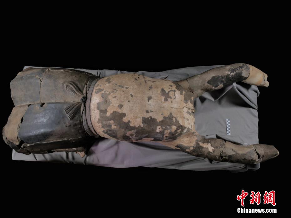 Un "guerrero de terracota” acostado, ya restaurado, se presenta en el Museo del Sitio del Mausoleo del Emperador Qinshihuang en Xi'an, provincia de Shaanxi, 11 de junio del 2022. [Foto: Chinanews.com]