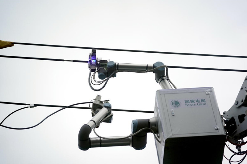 Un robot desarrollado en el país trabaja esteviernes en líneas eléctricas aéreas en el distrito Qingshan de Wuhan, provincia de Hubei. [Foto: proporcionada a chinadaily.com.cn]