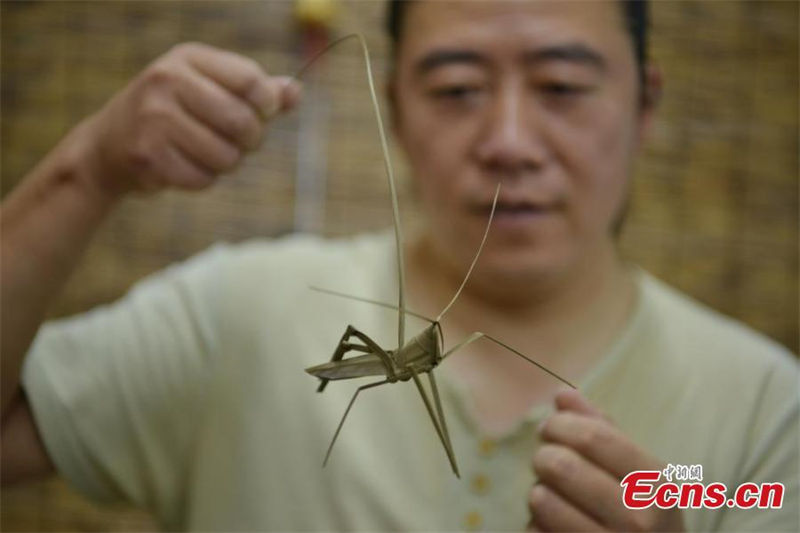 Artesano de Hebei logra detalladas obras con el trenzado de paja