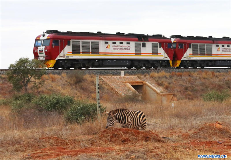 Ferrocarril de Ancho Estándar Mombasa-Nairobi construido por China celebra su quinto aniversario de operación segura