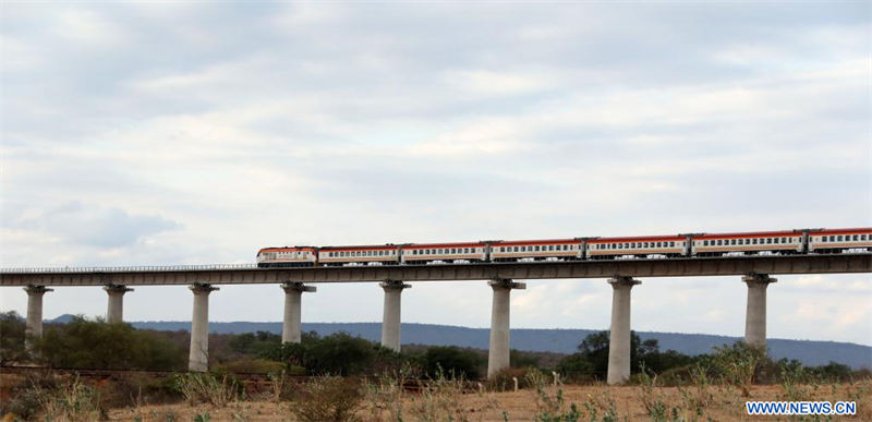 Imagen del 28 de julio de 2022 de un tren de pasajeros circulando sobre el súper puente principal del río Tsavo cerca del Parque Nacional de Tsavo, Kenia. El Ferrocarril de Ancho Estándar Mombasa-Nairobi, construido por China, acaba de celebrar su quinto aniversario de operación segura. El Ferrocarril Mombasa-Nairobi atraviesa por reservas naturales como el Parque Nacional de Nairobi y el Parque Nacional de Tsavo. Con la finalidad reducir el impacto sobre el medio ambiente, se tomaron una serie de medidas durante el diseño y la construcción de la vía férrea, como rodear los manglares, lo que ha ayudado a que estos sigan floreciendo en los últimos cinco años. Además, se han establecido un total de 14 grandes pasos de vida silvestre y 79 puentes a lo largo de toda la vía férrea teniendo en cuenta los hábitos de vida y las rutas de migración de los animales salvajes. Se construyeron grandes pasajes para animales con una altura de más de 6,5 metros debajo la vía para permitir el paso de animales grandes como elefantes y jirafas. Se colocaron vallas a ambos lados de la vía para impedir el paso de animales y reducir la posibilidad de colisiones entre animales y trenes. (Xinhua/Dong Jianghui)