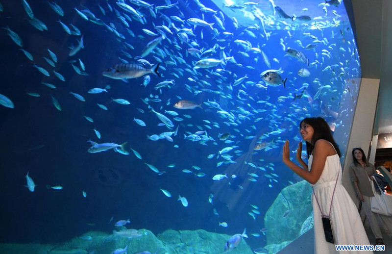 Una persona visita el Acuario de Estambul, en Estambul, Turquía, el 9 de septiembre de 2022. (Xinhua/Shadati)