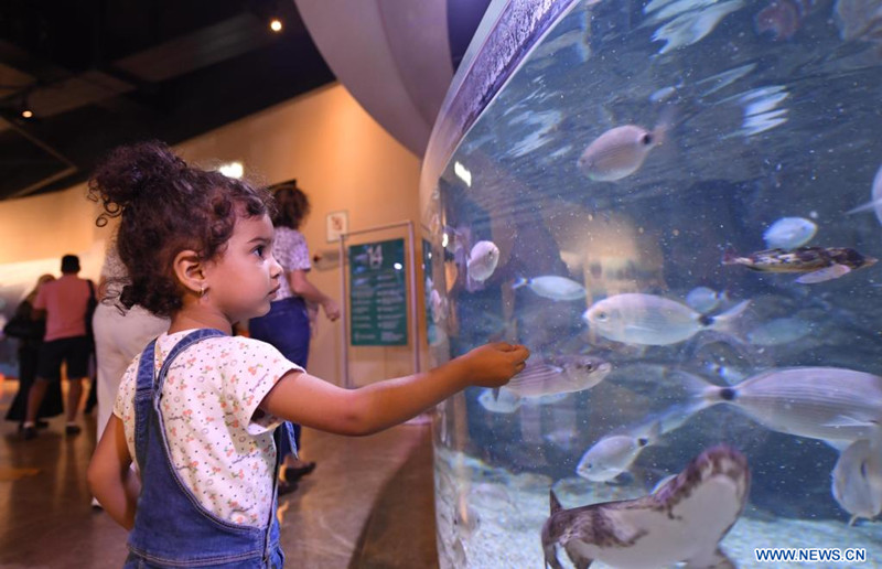 Acuario de Estambul en Estambul, Turquía