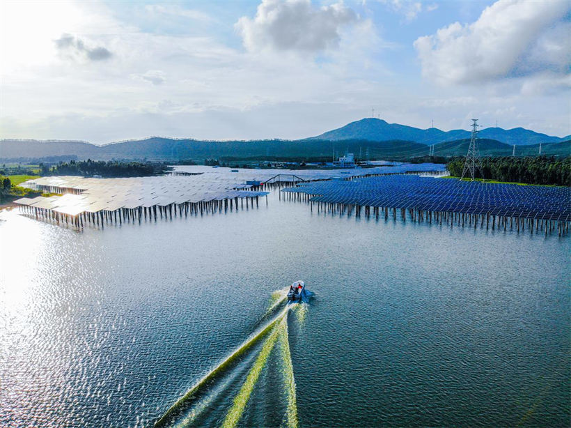 El pescado, los camarones y otros productos acuáticos se crían bajo los paneles fotovoltaicos en la central eléctrica fotovoltaica de Shuangyu. [Foto proporcionada a chinadaily.com.cn]